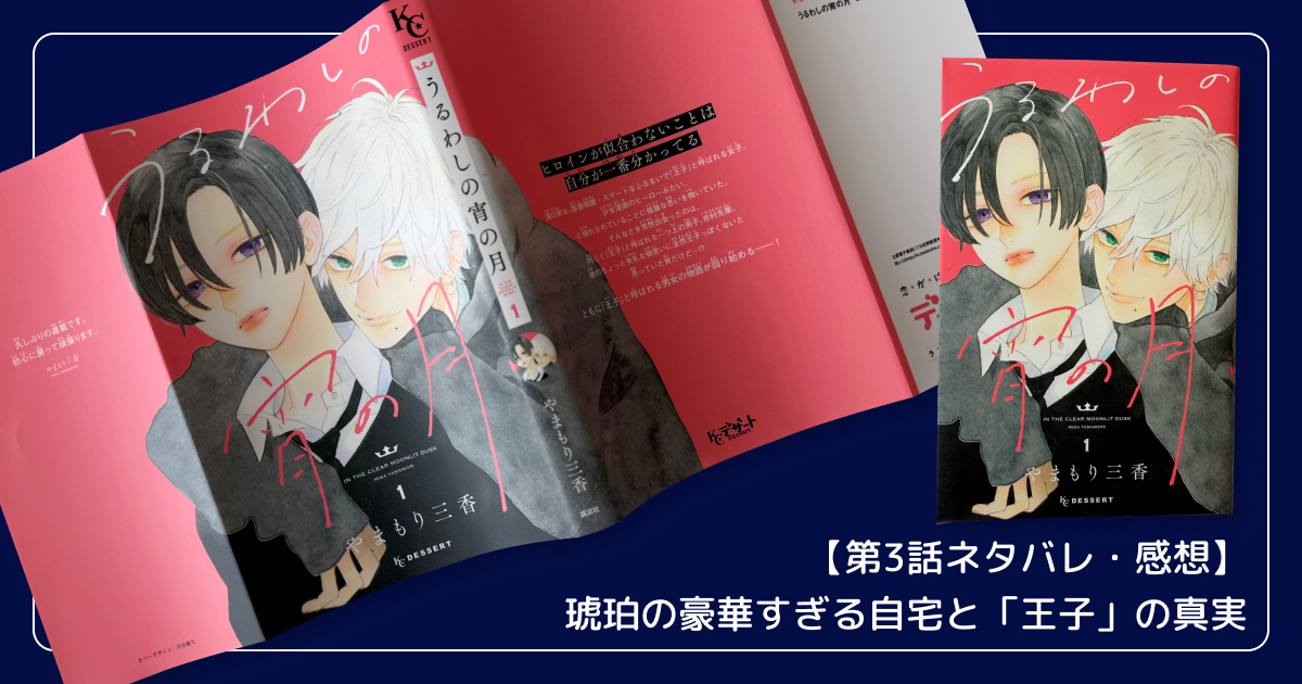 【第3話ネタバレ・感想】琥珀の豪華すぎる自宅と「王子」の真実